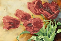 Канва с рисунком бисер "Красные тюльпаны" 50*34см  Наследие