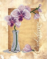 Канва с рисунком бисер "Орхидеи" А4  Наследие ДА4-006