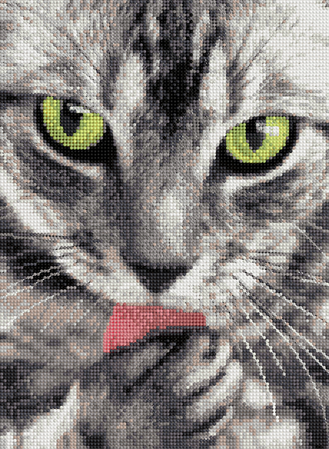 Канва с рисунком бисер "Серый кот" (19*25см) ДА4-180														