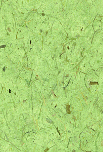 Бумага тутовая ручного изготовления 64*94см, тутовое волокно, цвет зеленый PTGR														