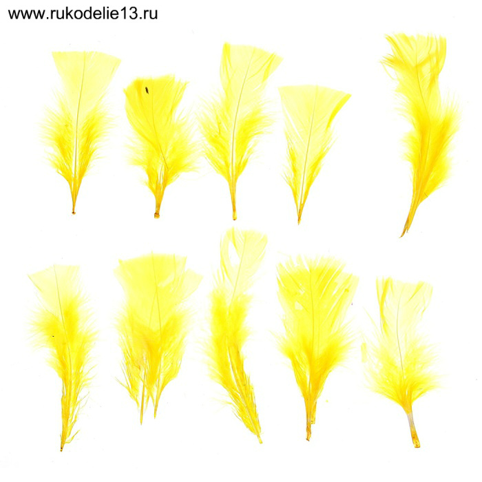 Перья для декорирования цвет желтый 10*4см. 1250933		