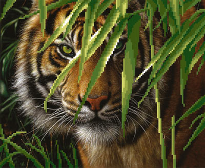 Канва с рисунком бисер "Тигр" (35*40см) габардин  МП Студия