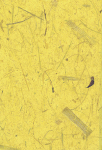 Бумага тутовая ручного изготовления 64*94см, тутовое волокно, цвет желтый PTYL														