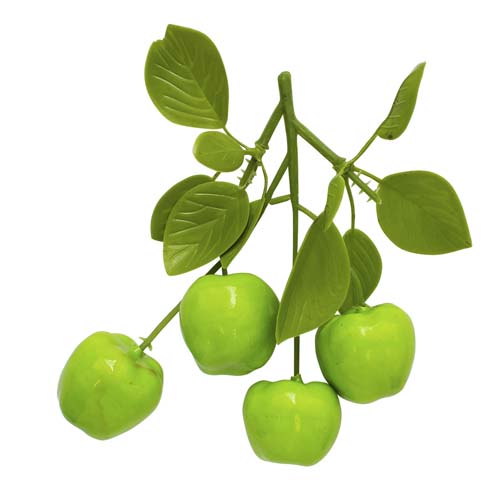 Декор Букет Яблочки зеленые на веточке  Астра 7717703/XLP1673														
