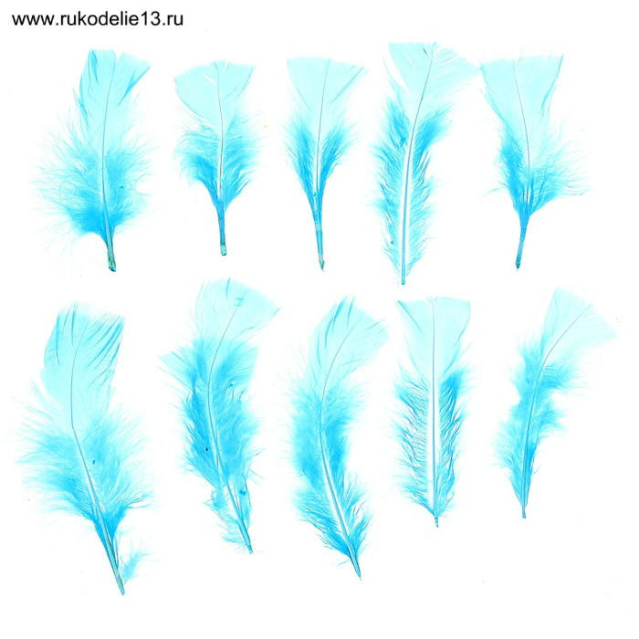 Перья для декорирования цвет голубой  СЛ 1250936	