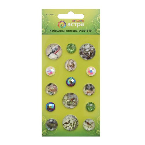 Кабошоны-стикеры 15шт.  АСТРА 7715611/ASS1519														