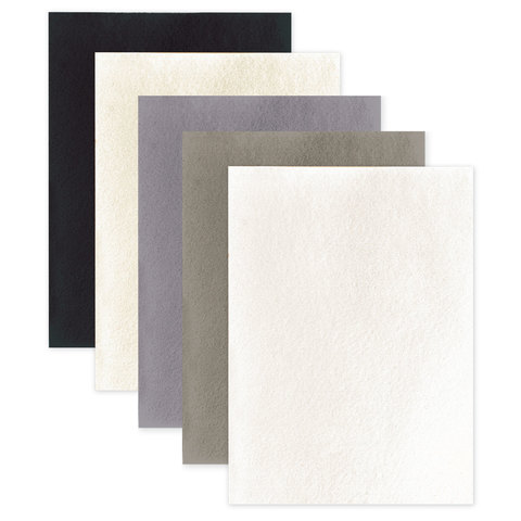 Фетр "Оттенки серого" 5цв. 5л. 100% полиэстер, А4, 2 мм  Остров Сокровищ 660647														