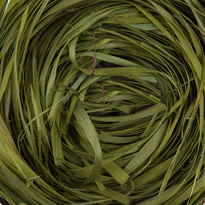 Лыко чесаное для рукоделия зеленый 30гр LKB-30														