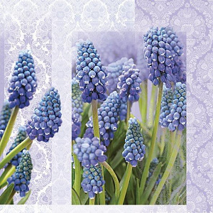 Салфетки для декупажа 33*33см На каждый день 3-хслойные  Maki SDOG007801/15201/301														