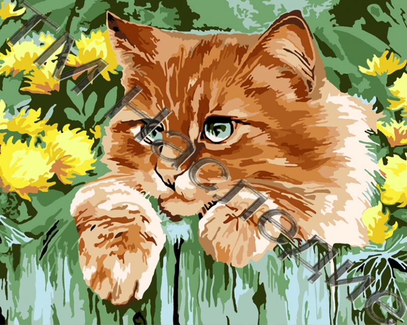 Раскраска по номерам  30*40см "Любопытный кот"  Наследие РН2-001														