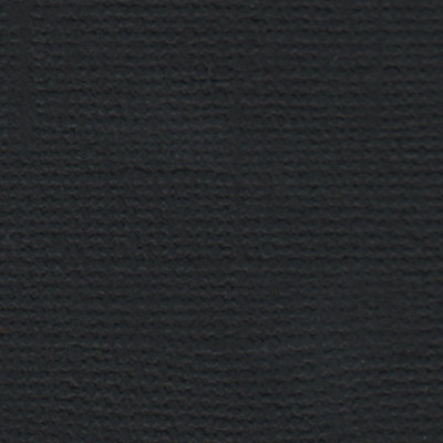 Бумага для скрапб. двустор. "Вороной конь" черный 30,5*30,5см 10л. за 1лист  Mr.Painter PST-36														