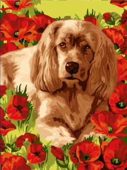 Раскраска по номерам  30*40см "Пес в маках"  Наследие РН2-002														