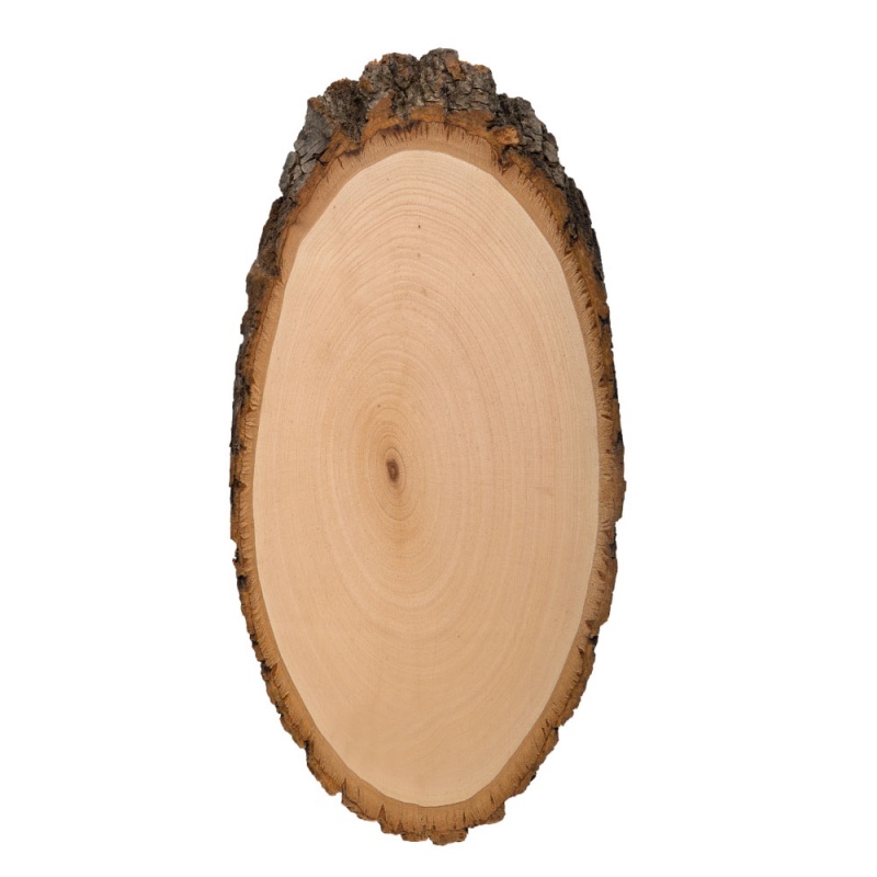 Спил-срез дерева 34*17см 1шт.  Гамма СРЕЗ-04														