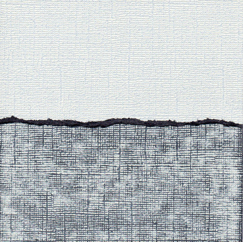 Бумага для скрапб. двустор. с вн "Беленый забор/черный" 30,5*30,5см 160гр/м 10л. за 1лист  Рукоделие GX WW400