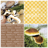 Салфетки для декупажа 33*33см Грибной рецепт, медный 3-х слойные  Германия 0786														