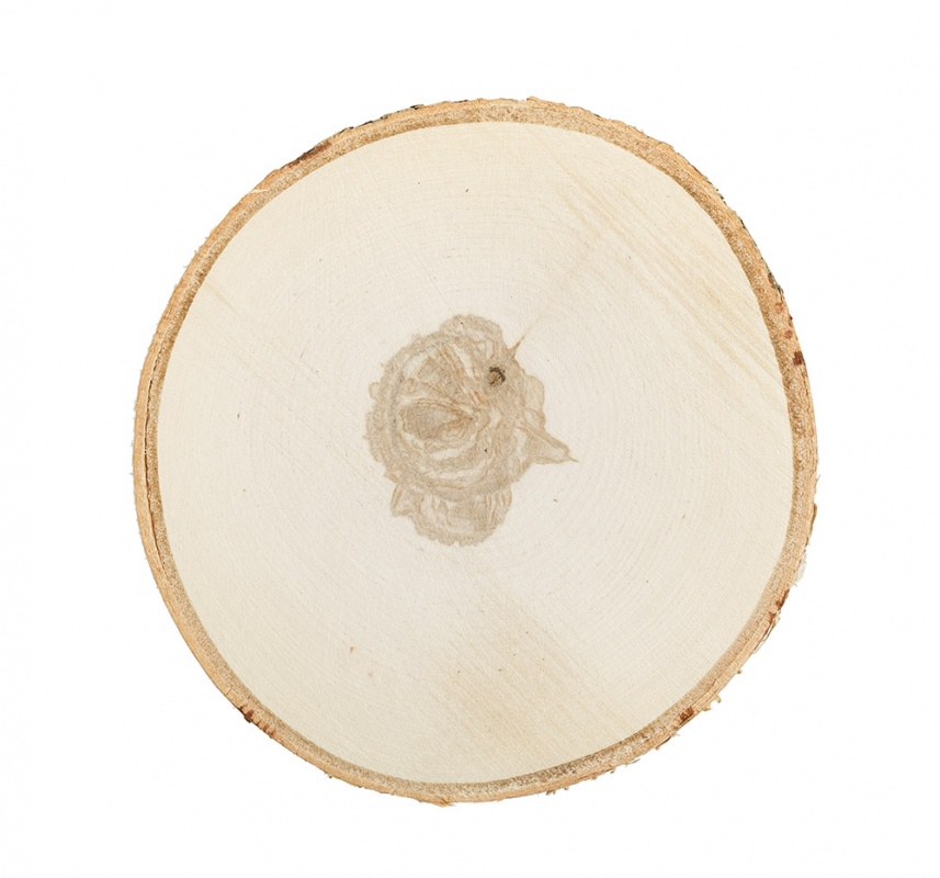 Спил-срез береза 23см 1шт.  Гамма СРЕЗ-07														