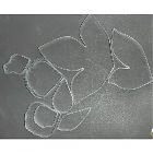 Каттер "Пион"