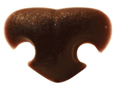 Носик коричневый 20мм за 1шт