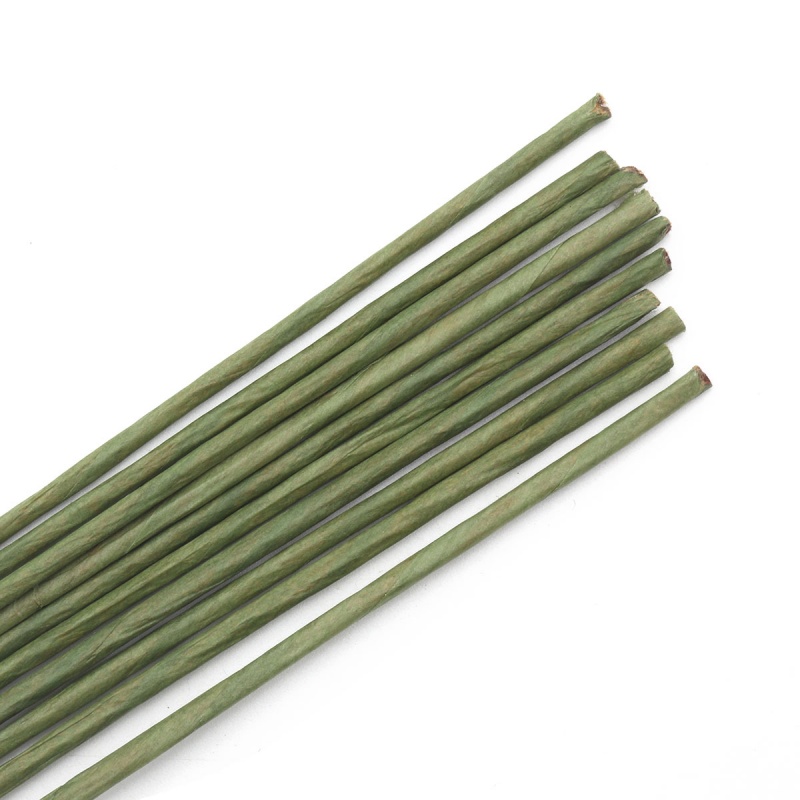 Проволока флористическая в оплетке зеленый 60см, d=2мм/10шт.  АСТРА 7716178														