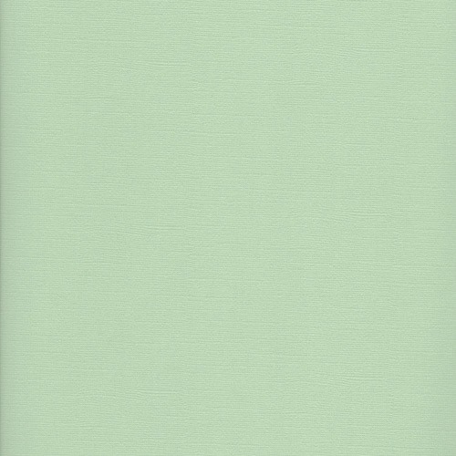 Кардсток текстурированный пастельно зеленый 30*30см  ScrapBerrys SCB172312141