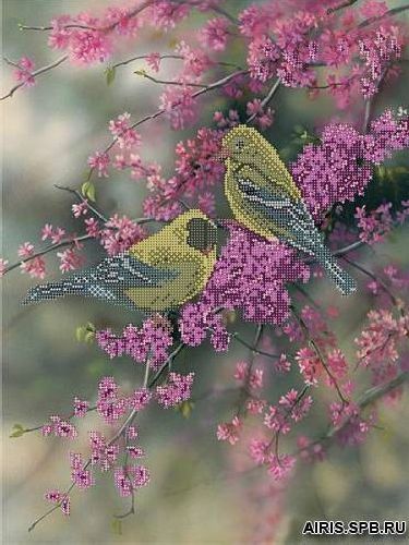 Канва с рисунком "Весенняя феерия" мулине (30*40см)  Gluriya 73116				