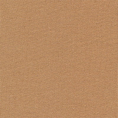 Ткань трикотаж кукольный цвет 8 св. коричневый 50*55см 100% хлопок  PEPPY DTF-01														