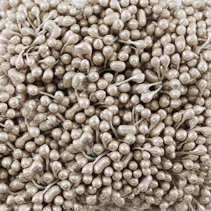 Тычинки для цветов двусторонние бежевый перламутр 0,3см (связка)														