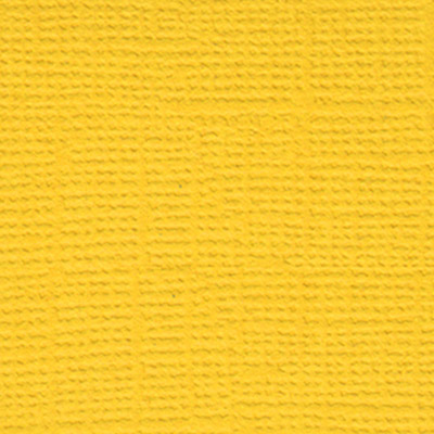 Кардсток "Кукурузный початок" 37 желтый 30,5*30,5см 10л. за 1лист  Mr.Painter PST-37														