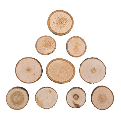 Спил-срез дерева D=3.5см набор 10шт.  Blumentag/Гамма СРЕЗ-05														