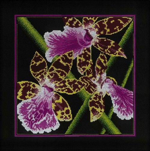 Вышивка крестом РТО "Орхидеи. Зигопеталум" мулине 36*36см