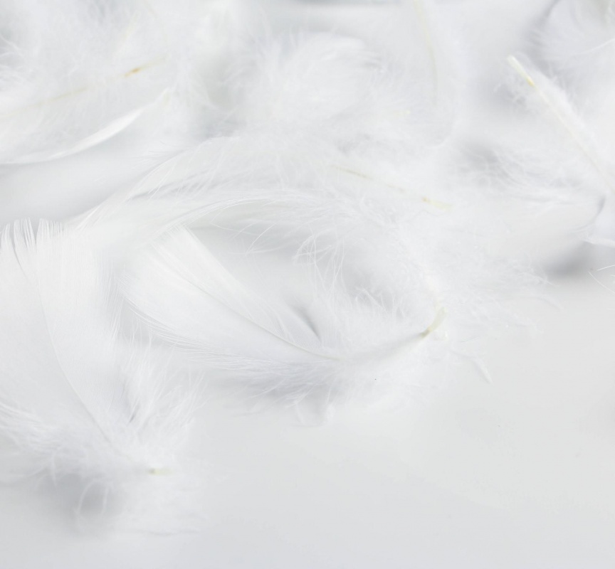 Наполнитель из перьев для шаров и подарков «Облака» , 15*11см  Дарите счастье 5310751														