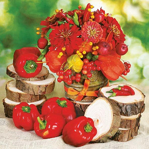 Салфетки для декупажа 33*33см Весенний Ланч 3-хслойные  Maki 039001														