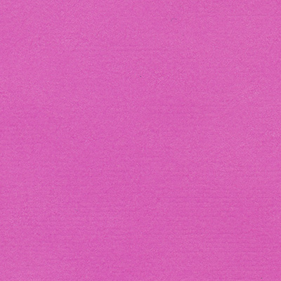 Бумага для скрапб. двустор. "Фуксия" мятный 30,5*30,5см 10л. за 1лист  Mr.Painter PST-43														