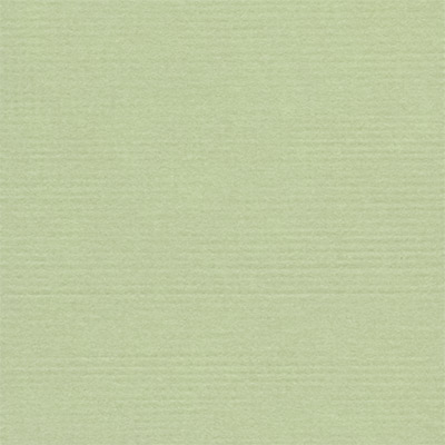 Бумага для скрапб. двустор. "Фисташковое морожен" 30,5*30,5см 10л. за 1лист  Mr.Painter PST-44														