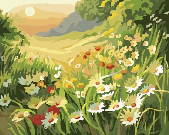 Раскраска по номерам  40*50см "Ромашки"  Molly