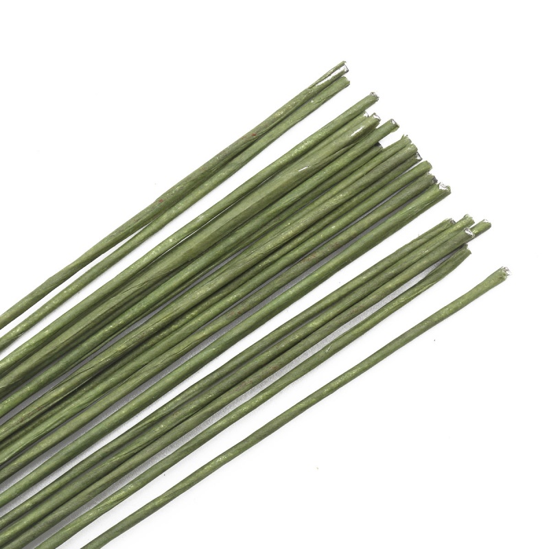 Проволока для флористики d=1,60мм 60см зеленый 50шт.  АСТРА 7716177														