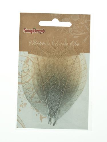 Лист скелетированный 2-цветный серебряный 8шт. (каучукового дерева)  ScrapBerrys SCB300507														
