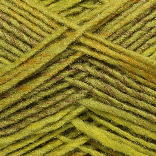 Пряжа "Ровница Мультиколоровая" 018 ловк-корич 5*200 г. 400м 50% п/. шерсть, 50% ПАН в/о  Пехорка 1018														