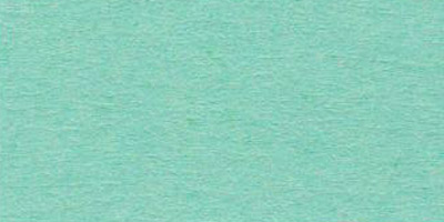 Бумага цветная А2  1цв.  1л. цв. 25 мятный двухсторонняя 42,5*60см 300г/м2  VISTA-ARTISTA ТКО-А2/25														