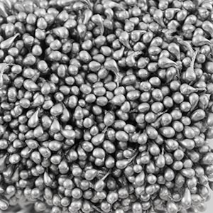 Тычинки для цветов двусторонние серебро (связка) 0,3мм 7712608/ST203-3														