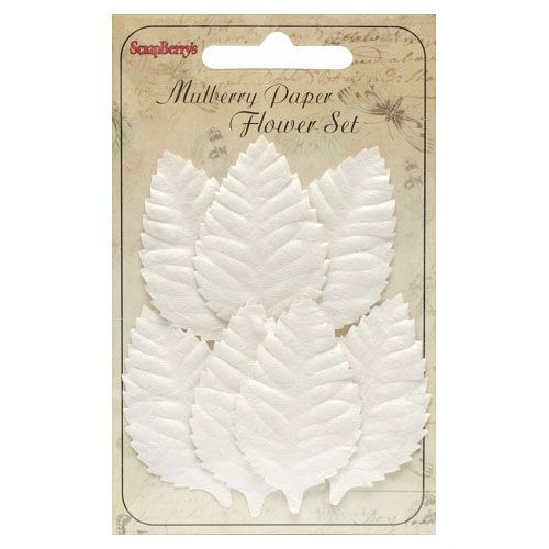 Листочки, Роза белые 5см набор, бумага  ScrapBerrys SCB300610														