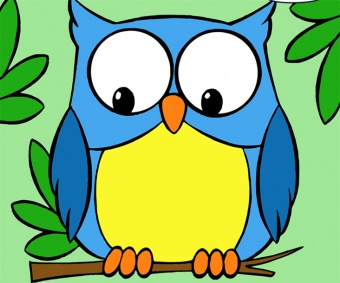 Раскраска по номерам  25*30см "Совенок"  Наследие РД-004														