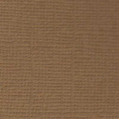 Бумага для скрапб. двустор. "Кофе с молок" 30,5*30,5см 10л. за 1лист  Mr.Painter PST-23														