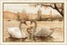 Вышивка крестом RIOLIS 1364 "Лебеди. Прага" мулине 45*30см